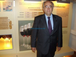 Fotos Noticias 2011